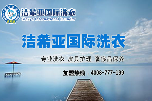  刚猛内射久久久久久久 投资加盟洗衣店赚钱吗?投资洁希亚怎么样
