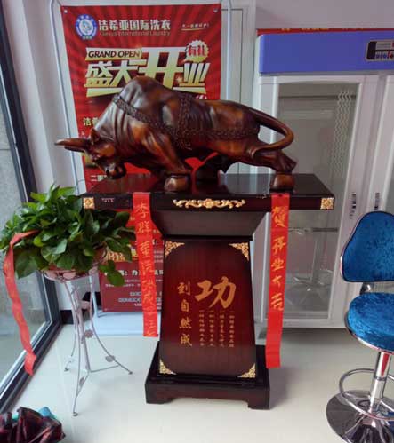 国产 成年妇  视频 洁希亚国际洗衣六安店