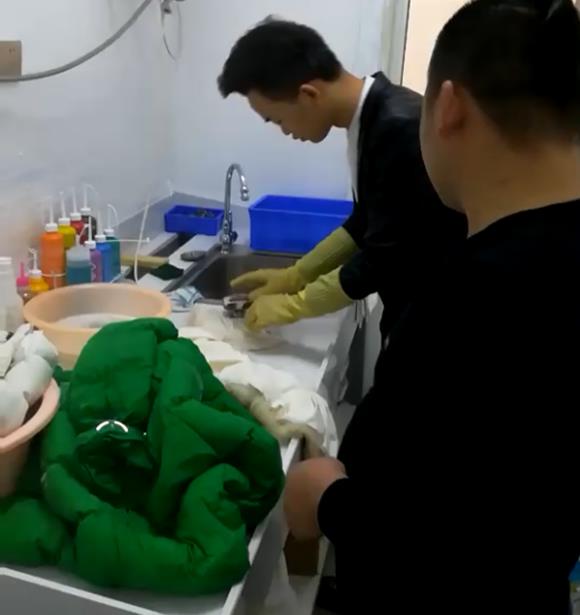 刚猛内射久久久久久久 洁希亚国际洗衣江阴店